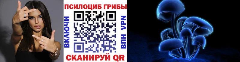 Купить закладки  Лагань  Галлюциногенные грибы Magic Shrooms 